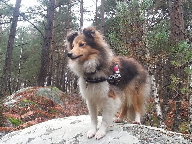 Jyga princess Tayola