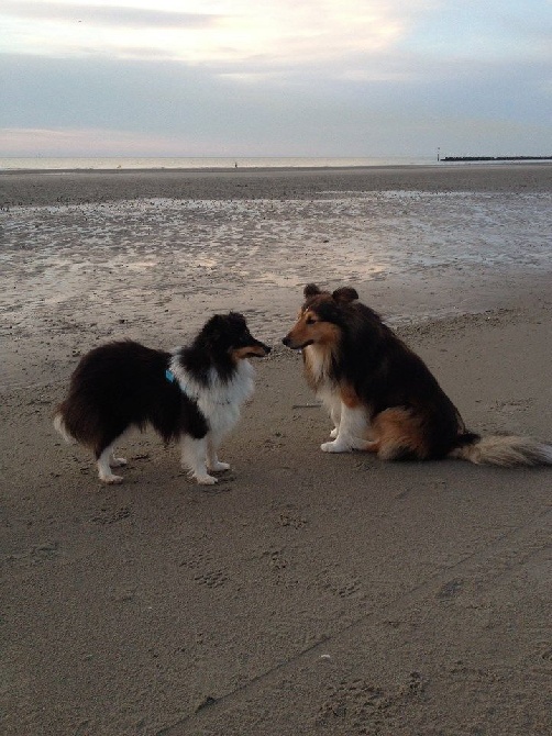 Les amoureux à la plage